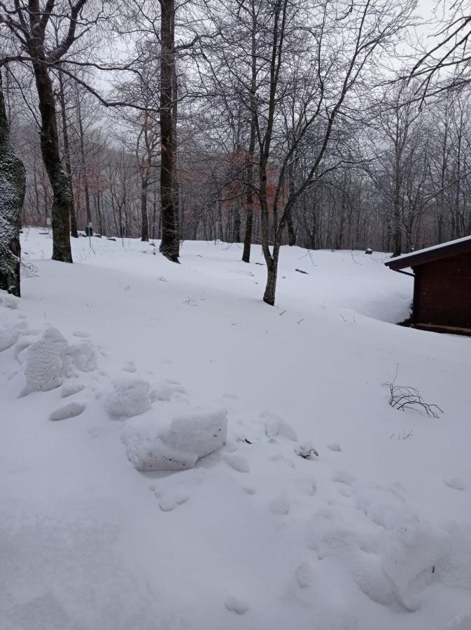 Villaggio Anemone - Chalet Mirtillo Capanne di Sillano Kültér fotó